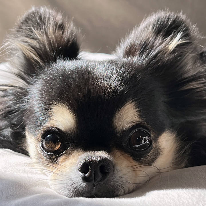 0d663bdc d89f 4d04 b7a6 6f91710b39f9 1763208199309