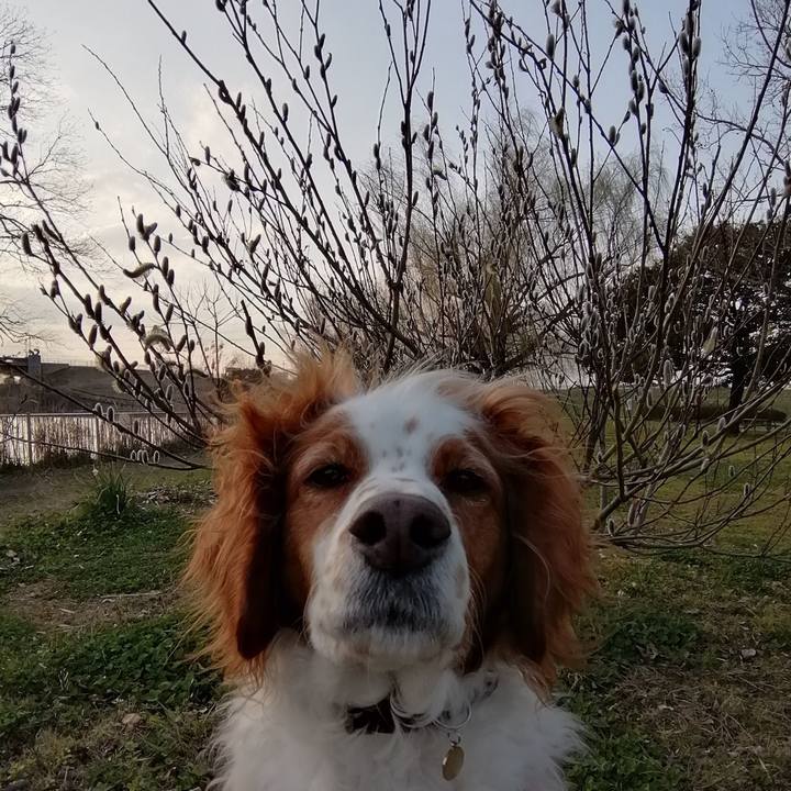 0d66503f d02a 433a 8394 4511fe475b6b 1583148527324