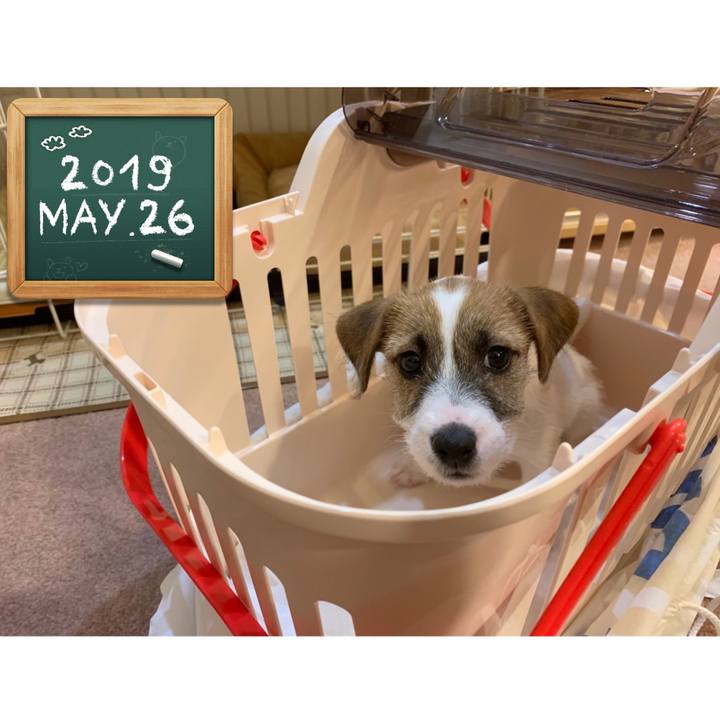 0d667de2 a899 4988 8b71 93c85e422164 1590497909190