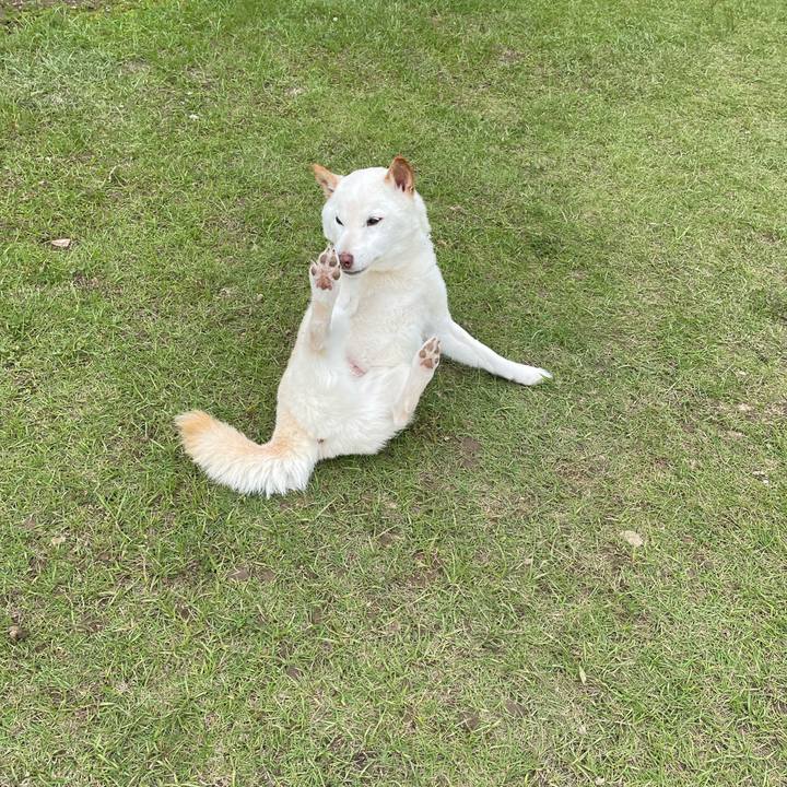 0d66b76a 8709 4807 ac88 912936fd02c5 1652705360344