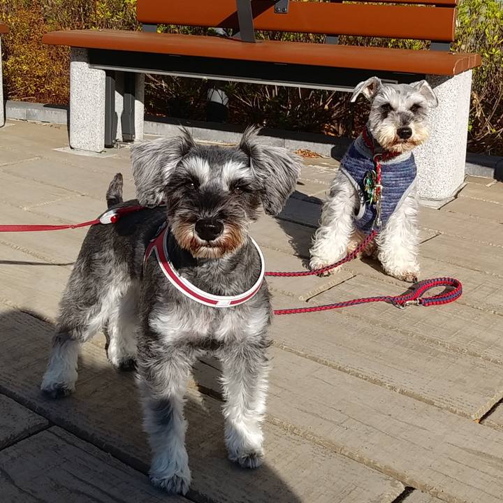 0d66dccc ee70 46a8 a5a6 b5beb83baa1e 1578024318136