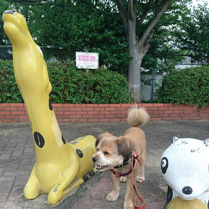 0d672b48 8bce 4b77 b53c 25ca0b7b87a2 1530486830906