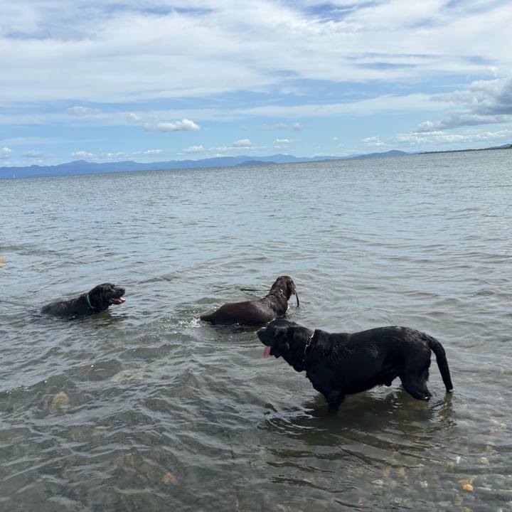 0d672c50 f4ab 498d 99b6 2d69da60b7b4 1758627317699