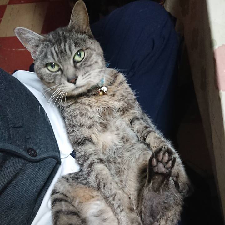 0d67458e 57c5 4d66 93e0 1c1b0cf6e74d 1577352947160