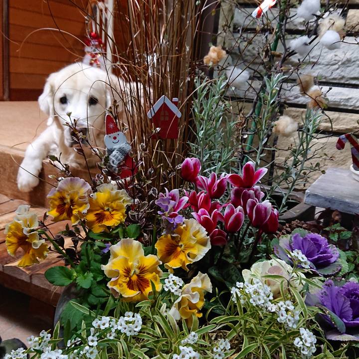 0d6767a7 a2f5 42b6 a666 7c6f241c0ad3 1577100690909