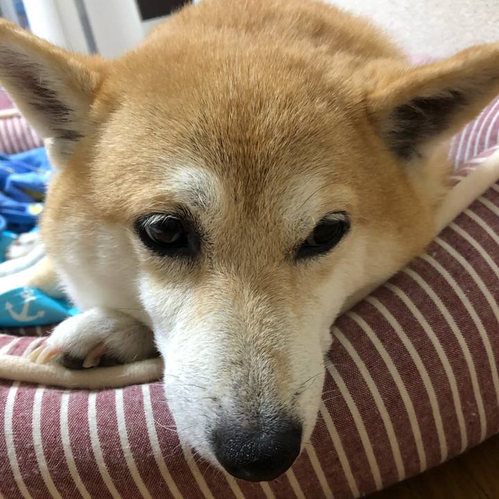 0d67a6bd cdc0 4bc1 873a 4f246b3f4ef5 1565962250614