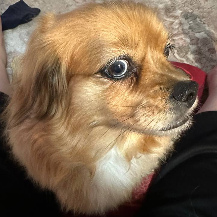 0d67aa2f f9d4 45d4 b93d 0b3559137619 1680470183610