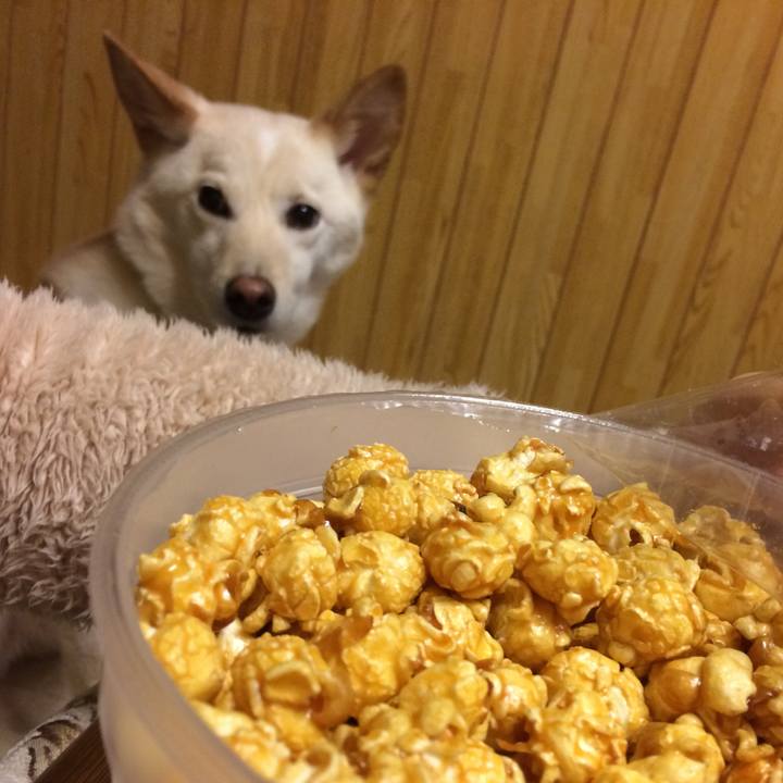 0d67ace0 4352 41b0 b650 45fbc224836b 1518001083698