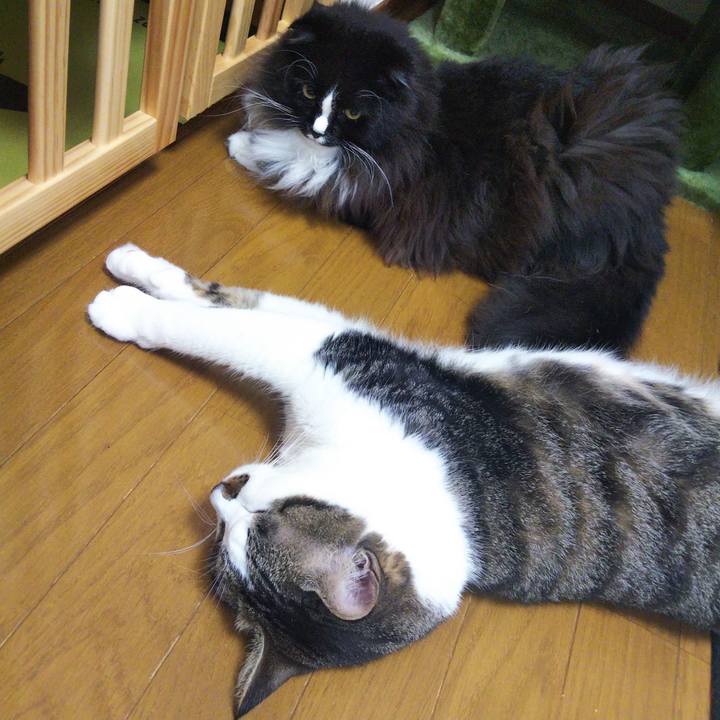 0d67cbbc 2aa4 46a2 b440 ff71b957716c 1657973799145