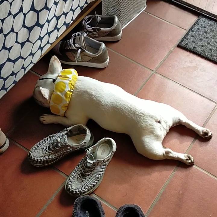 0d67e021 f7f4 4ecc 9c87 859500633941 1657097900967