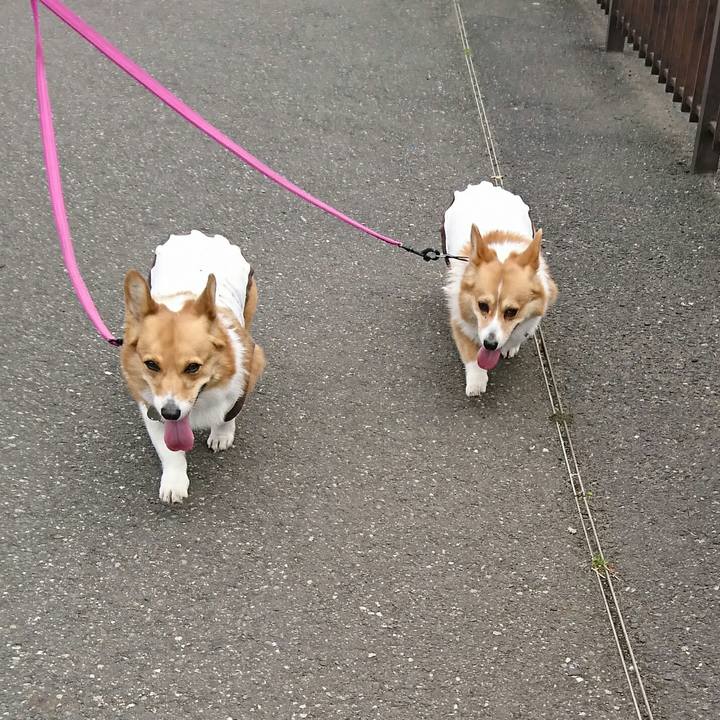 0d67e781 45f8 437d bc5e ff9acd4af077 1555815992038