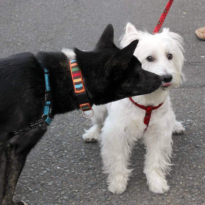 0d68025b 642f 42df 9fb3 60820f01c4e6 1510057268778