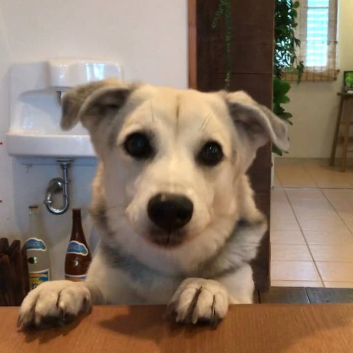 0d682be5 098b 42ff b3ce 49abac200a04 1575554909513