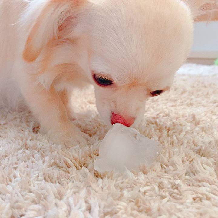 0d6831d2 e95c 4919 af81 75ad601755ee 1623310941299