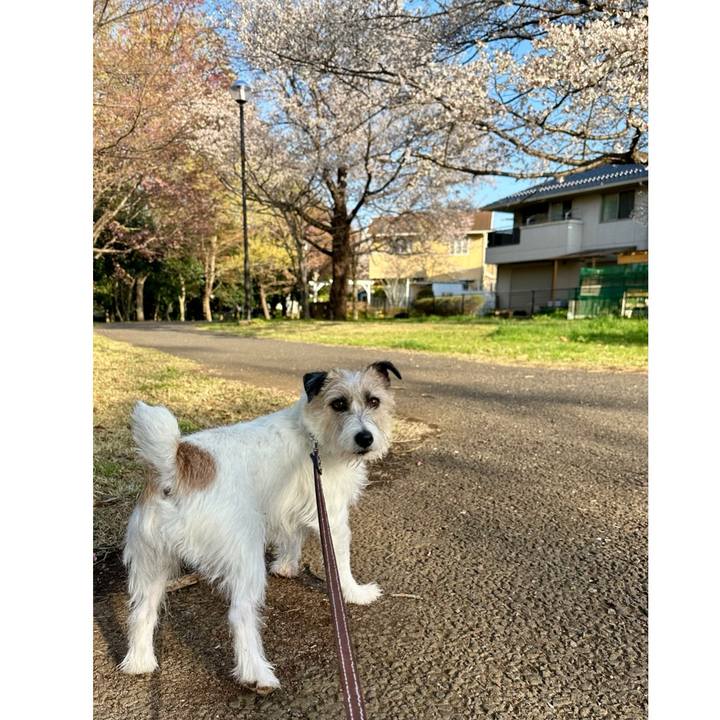 0d68a1b9 4e49 4b26 8bc5 267c6fdecdef 1743854589445