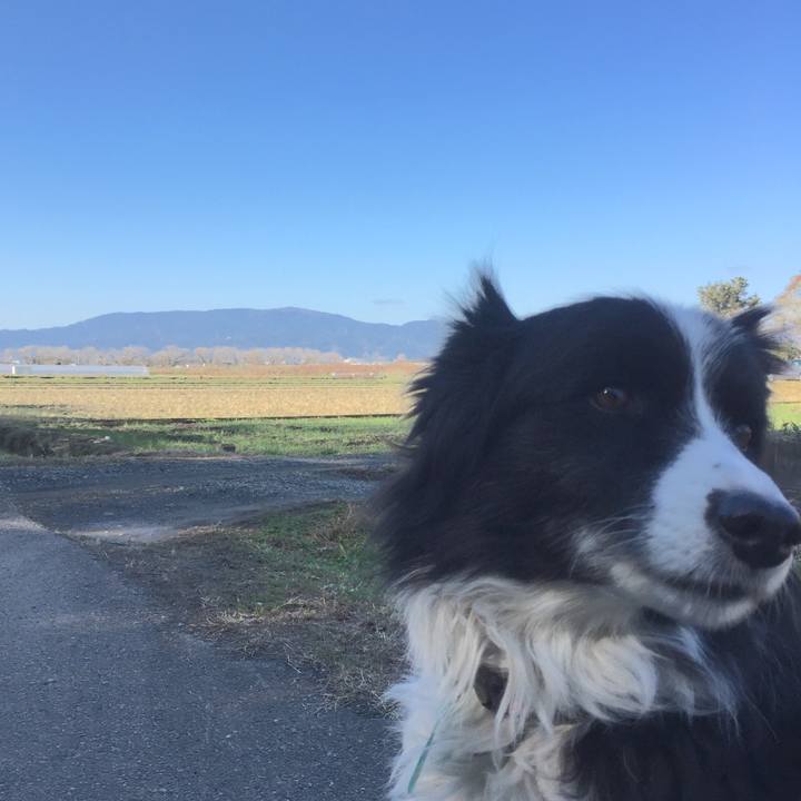 0d68c2c3 8a38 4b3b b1f2 ab0bdfc6924f 1577847771054