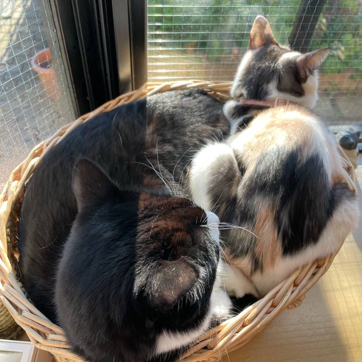 0d68c927 c1bc 468e 9b5d eb9bb532715e 1734226258769