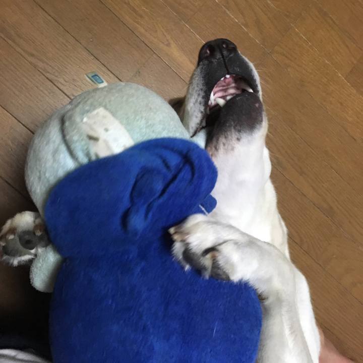 0d68dab8 52bd 456b bc19 e6d46dc23b22 1579352403400