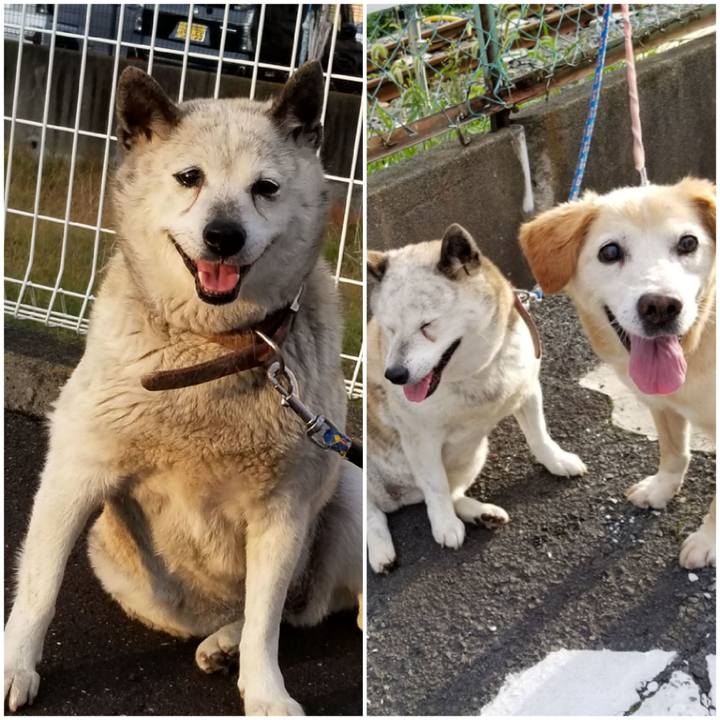 0d68efae 49d8 46cc 9eb9 02ea407f4a48 1754104372958