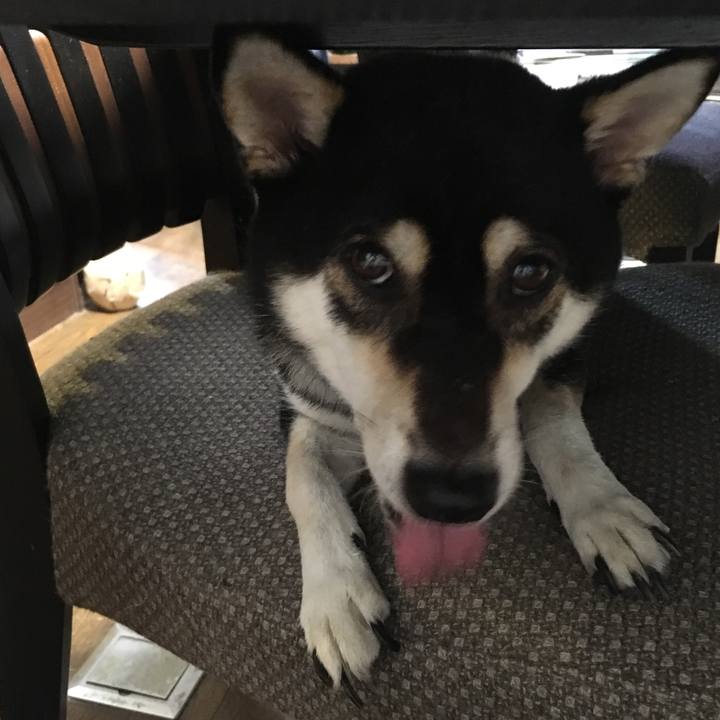 0d6902d3 faea 4cdc a01f d7bfc5aee74c 1569557008708