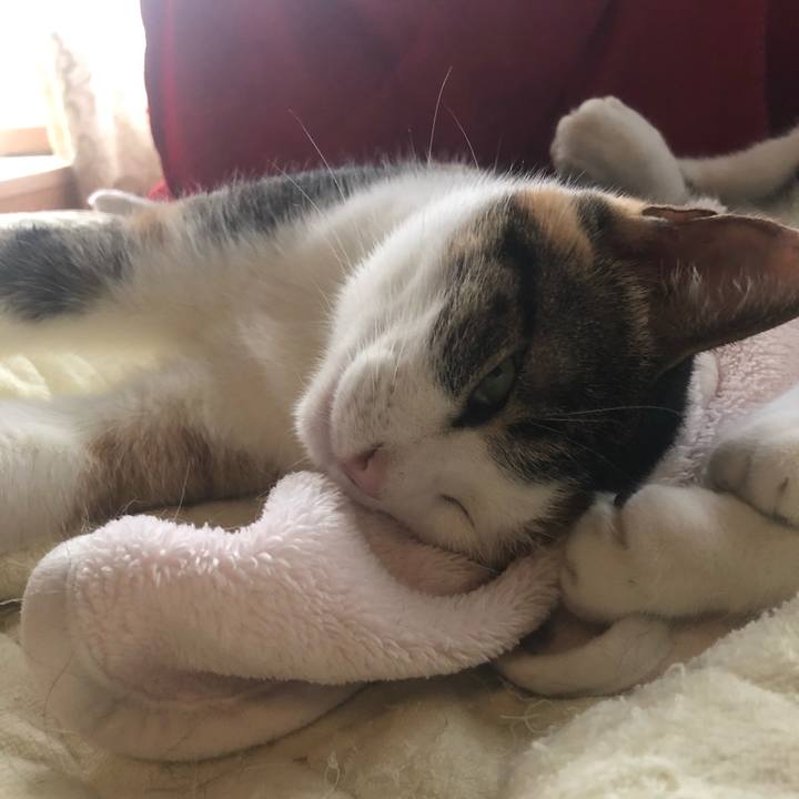 0d695ec7 8eb7 48f7 ab5c fa9375608fa6 1606259637193