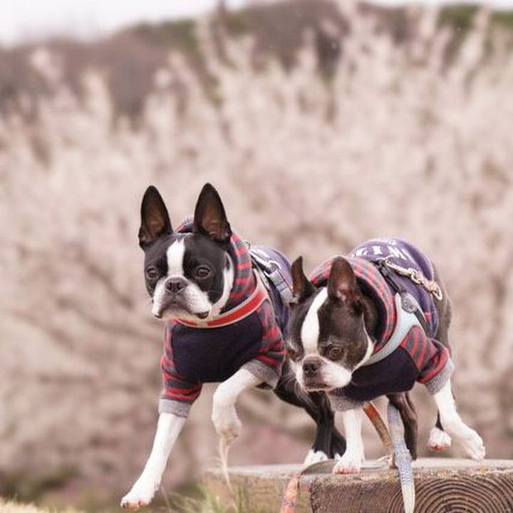 0d6962f3 a55c 4290 830f 694027fde6d7 1551960938092