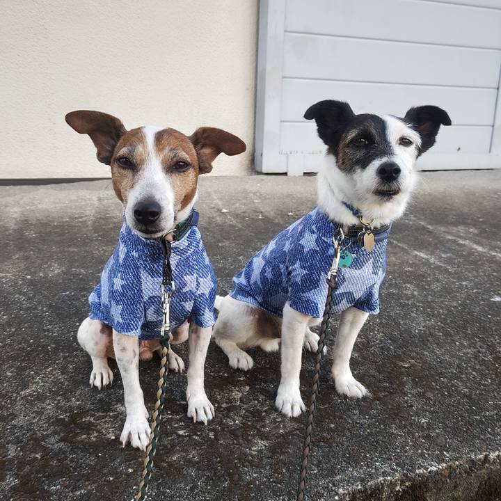 0d696bb7 8197 4385 b2f2 56b99cef0421 1758145622830