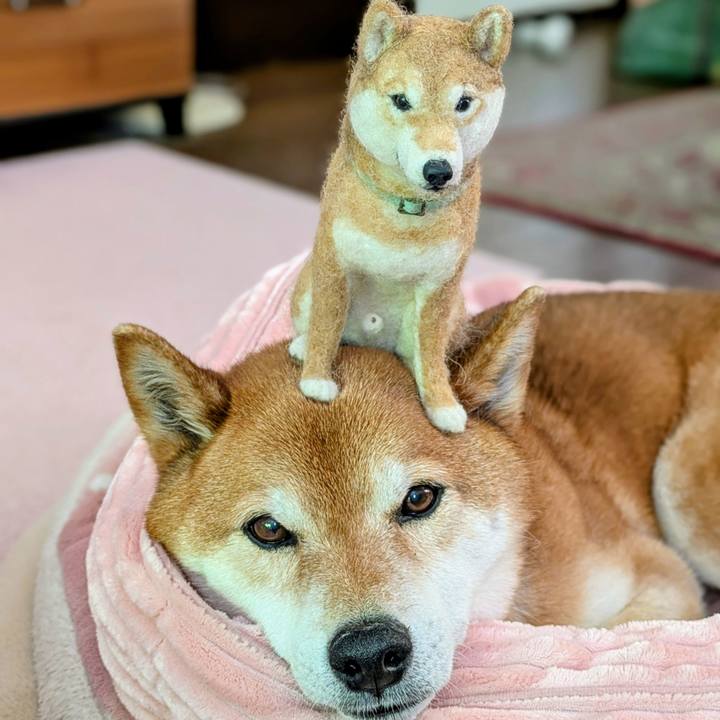 0d696f14 63ec 476b 90d8 b021ce86ca0f 1745990369278