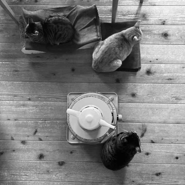 0d69dc9a e47f 4d40 bacf 32201d69b47f 1711232981643