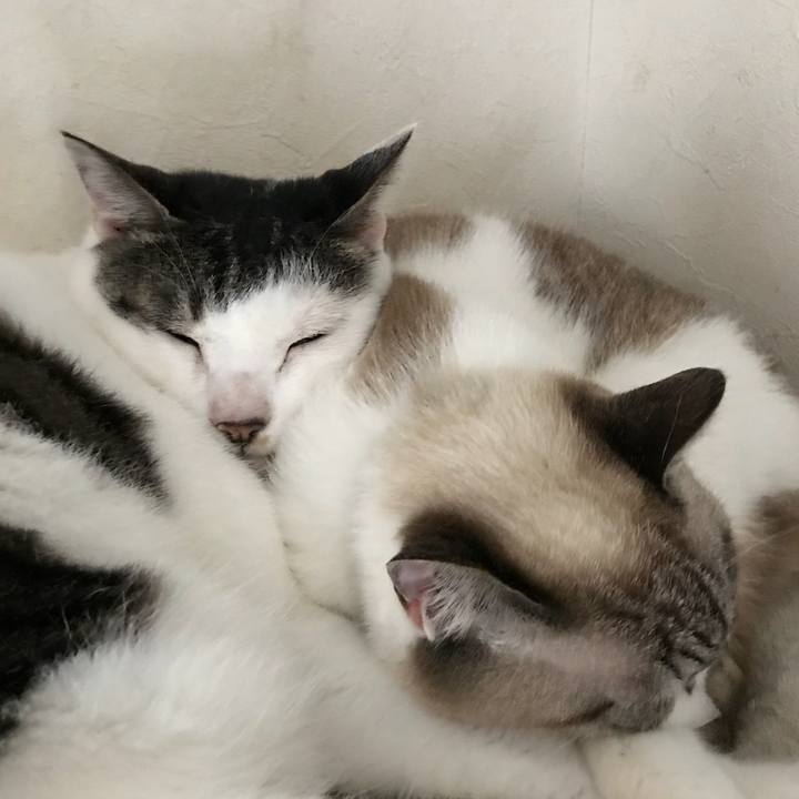 0d69ee8a 1baa 47bf bf19 a209bd9dd9d0 1527741354027