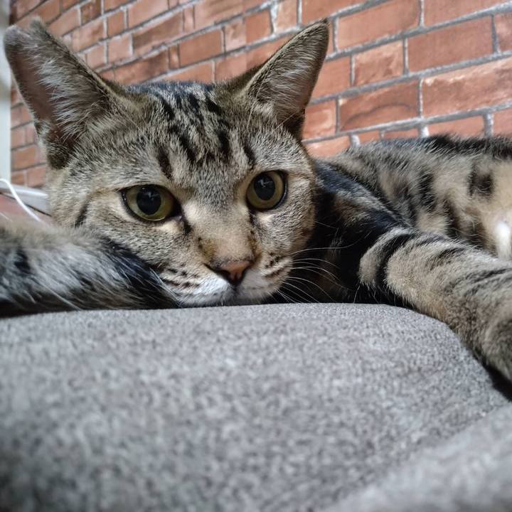 0d69f96c dbb1 47f0 8fde c839e0b4dd95 1697239139500