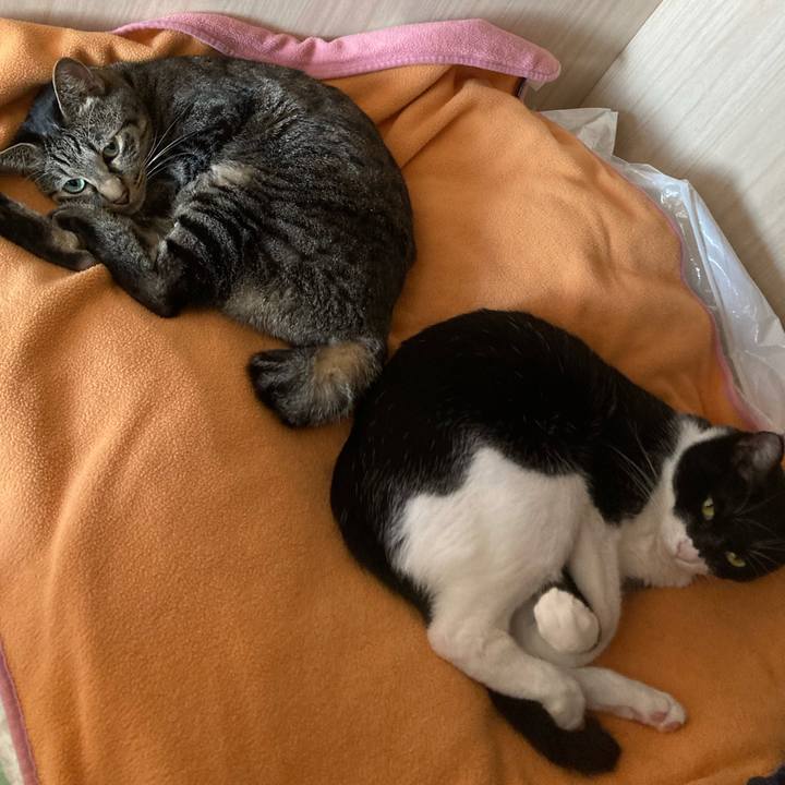 0d6a12e5 5347 4d3d 877c ec3c2dcde728 1635422262246