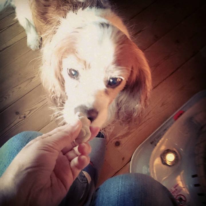 0d6a2394 742b 4e7b a32e d1e542f0ef33 1553300854592