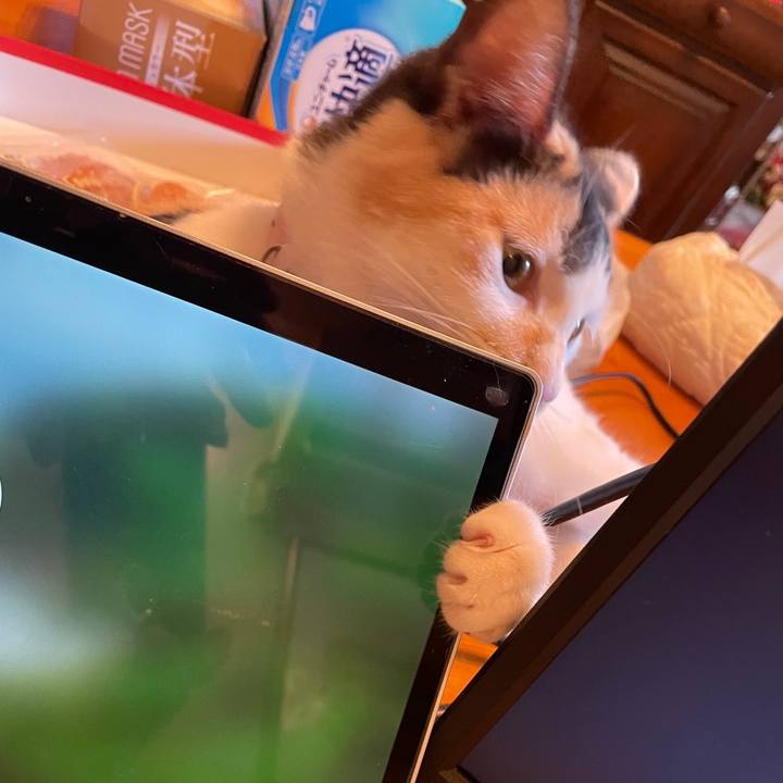 0d6a332b 4d6e 4bcb b88c 5c53676cfe27 1670146167738