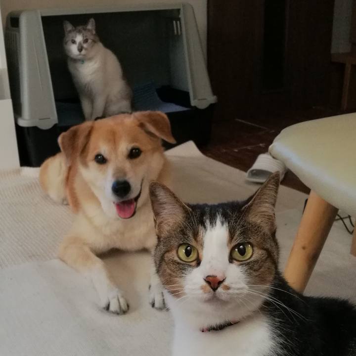 0d6a919d 78ef 4fc3 b06b d1b507191342 1565167550478