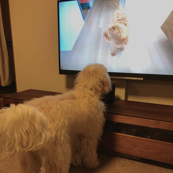 0d6a9c1f 4f7f 47c3 93e6 0e1cbdc7a749 1616582409453