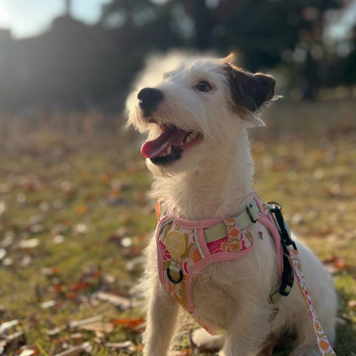 0d6aa124 5d6d 4873 8837 ce77526a0211 1763815635677