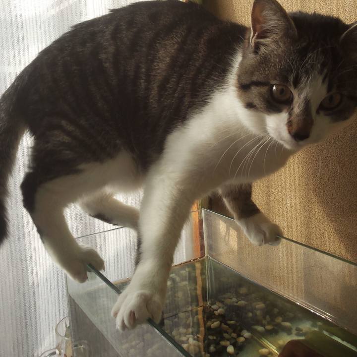 0d6aa744 b644 4c7c b652 dc6ac1bc2f2f 1605238253284