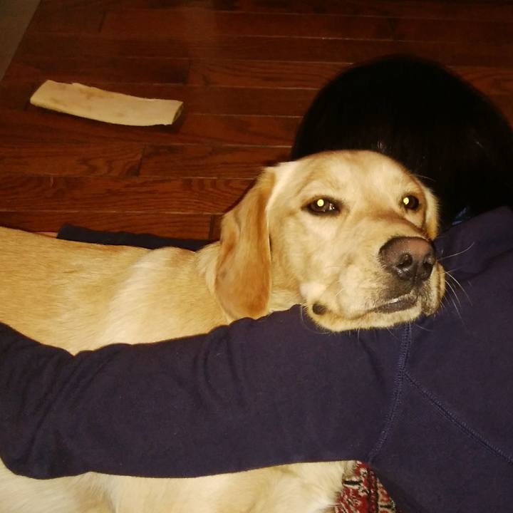 0d6aa9a7 d410 4375 b514 afc1283b82bf 1516013097244