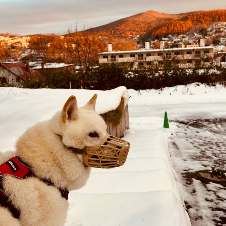 0d6acf60 b502 4084 9af8 17be5592690c 1763596533880