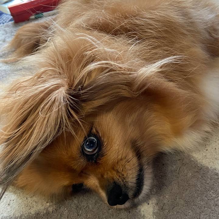 0d6ad387 fdb9 49ca 82f2 e764a6fcd919 1625356765474