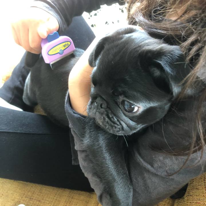 0d6ad4be d20a 40e8 9347 833be957122f 1590207104994