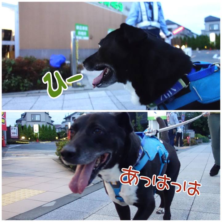 0d6ad856 713a 4b4b 8c87 9fd33667a68a 1686741187490