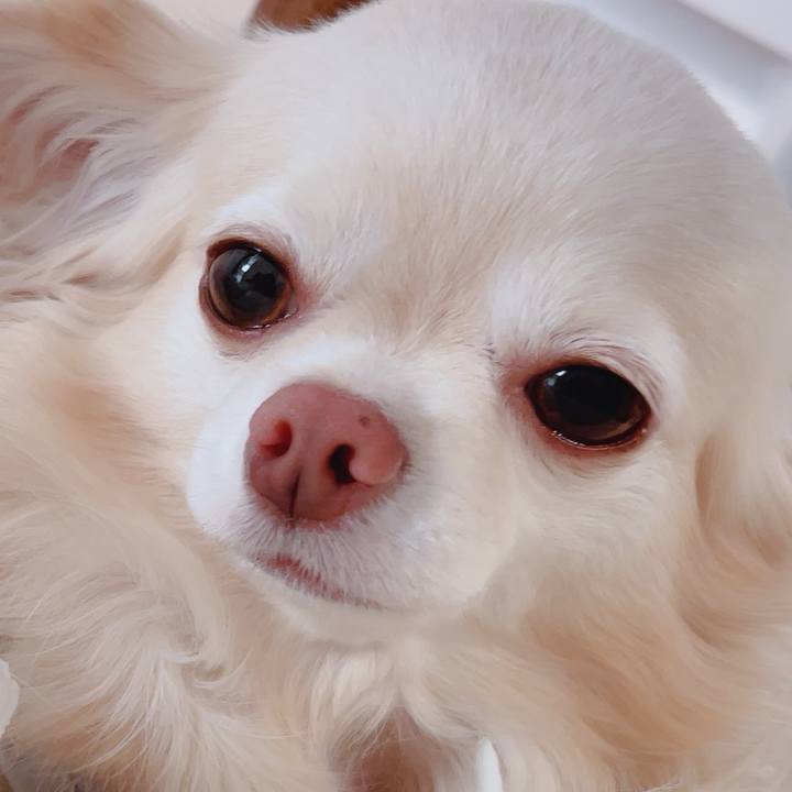 0d6ad9c9 c772 47b0 938b 4bd6e1e3be4c 1755406077766