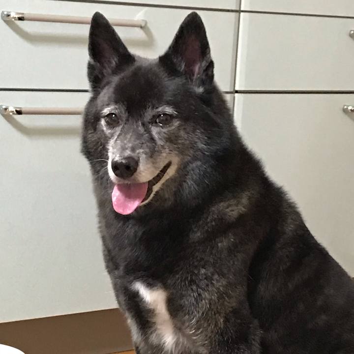 0d6af061 ef68 49f4 903a 8ab2f6ad2ece 1540092156636