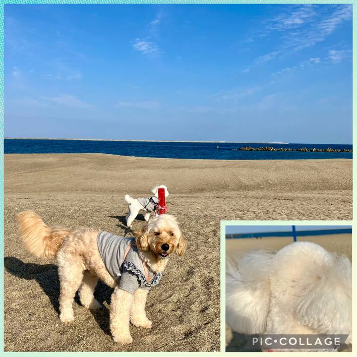 0d6af8d9 785d 4b9a a862 0bfc3885b9dc 1763283577364