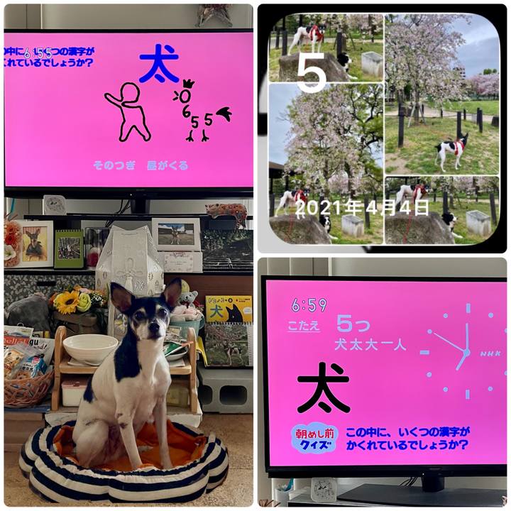 0d6b6038 215f 412b 8f73 6e9b9c11171e 1680646456699