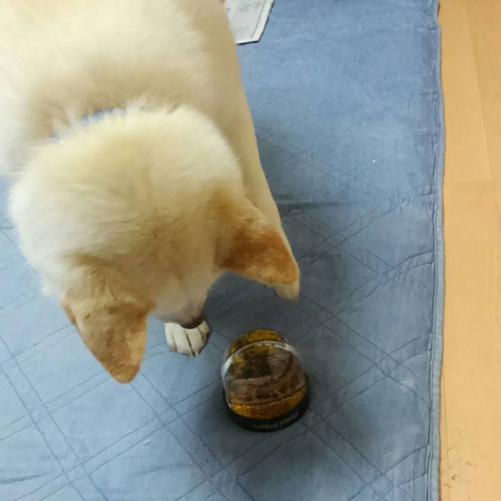 0d6b72d4 8215 43ea 8f09 562128a9bd14 1522503206365