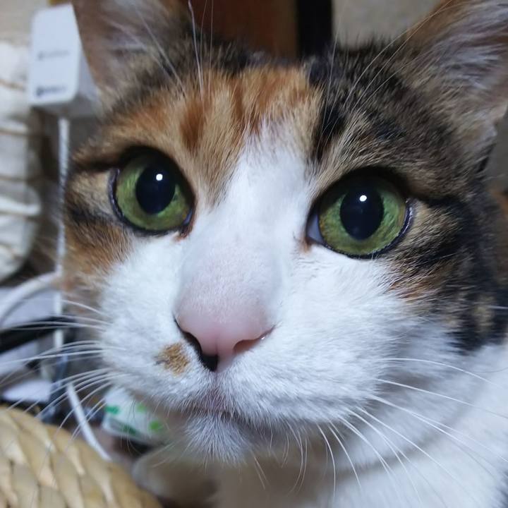 0d6b8262 90d0 4a66 a7b9 82a74d736011 1581630157049