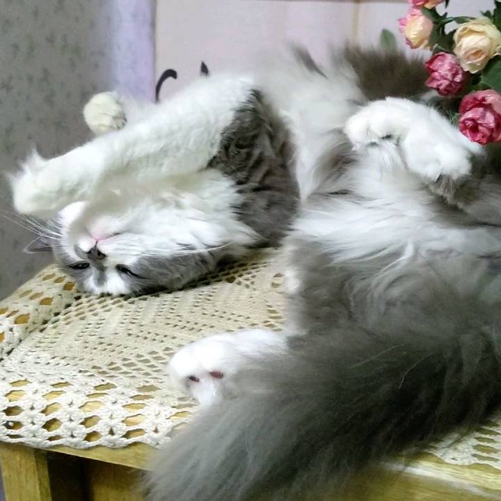 0d6b8a12 7846 45bc a851 26103ed26aef 1599088807179